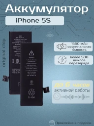 Аккумулятор для iPhone 5s (1560 mAh) Premium